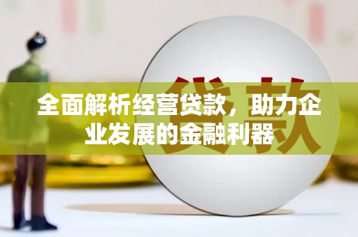 万州全面解析经营贷款，助力企业发展的金融利器