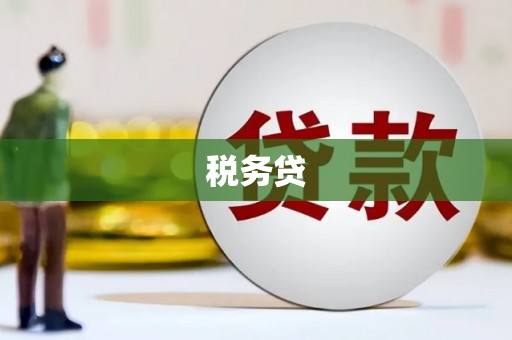 万州税务贷