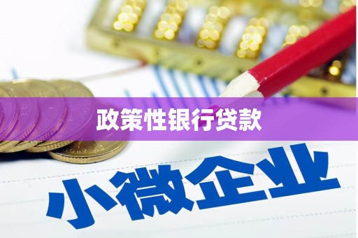 万州政策性银行贷款