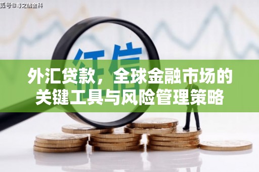 万州外汇贷款，全球金融市场的关键工具与风险管理策略