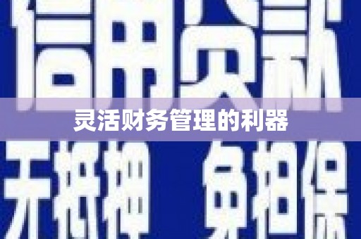 万州灵活财务管理的利器
