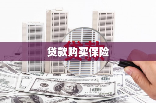 万州贷款购买保险