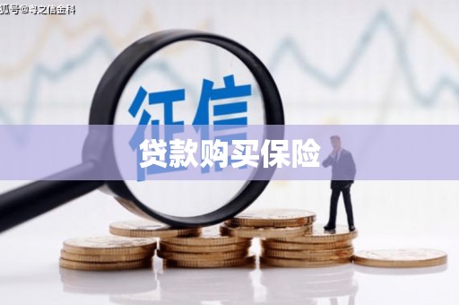 万州贷款购买保险