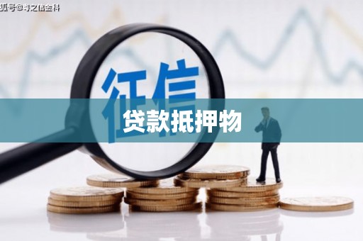 万州贷款抵押物