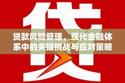 万州贷款风险管理，现代金融体系中的关键挑战与应对策略