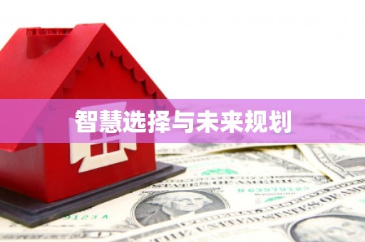 万州智慧选择与未来规划