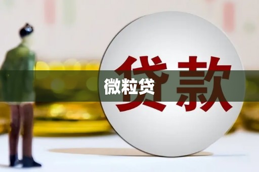 万州微粒贷