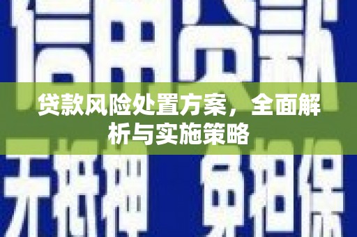 万州贷款风险处置方案，全面解析与实施策略
