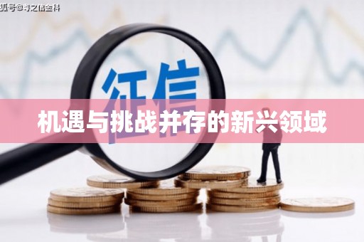万州机遇与挑战并存的新兴领域