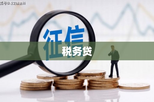 万州税务贷