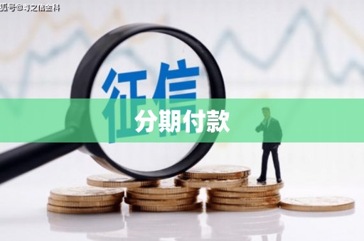 万州分期付款