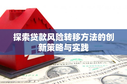 万州探索贷款风险转移方法的创新策略与实践