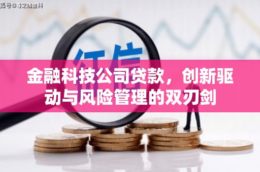 万州金融科技公司贷款，创新驱动与风险管理的双刃剑