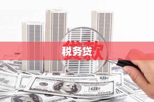 万州税务贷